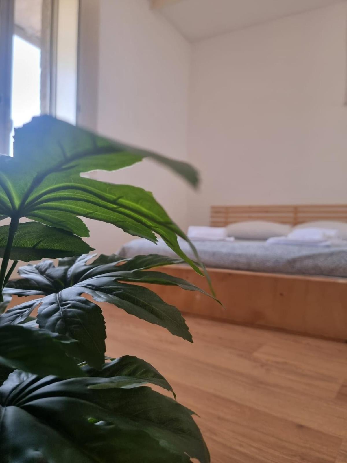 קטאניה Yourban Loft מראה חיצוני תמונה